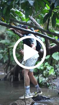 BIB:  <button type="button" onclick="openModal(27808996)" class="btn btn-primary btn-sm float-right" data-toggle="modal" data-target=".modal-high-quality">
                <i class="fa fa-download"></i> Download
                </button>